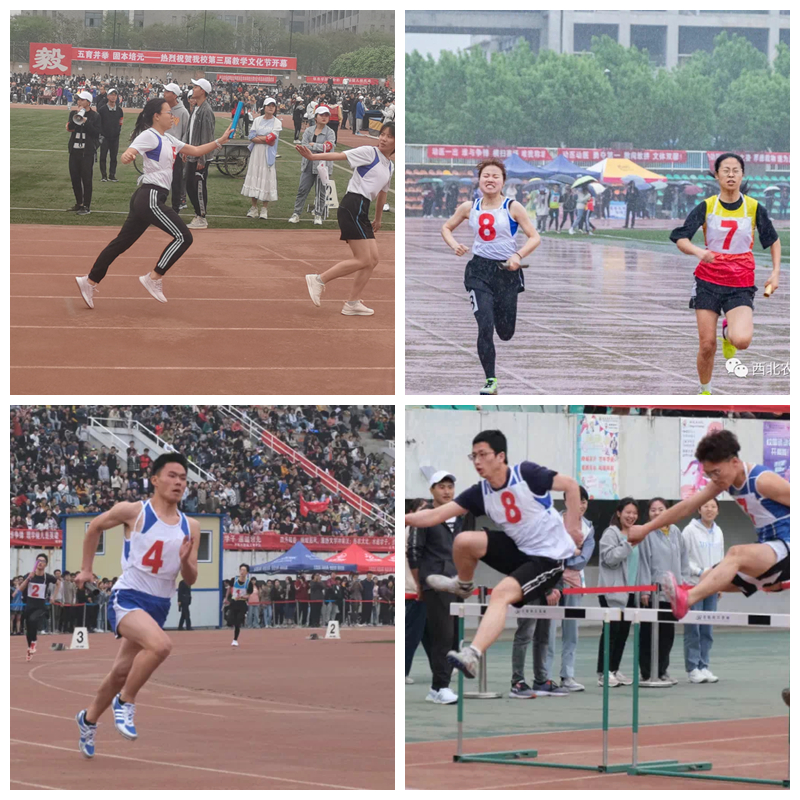 f4d6314f1c96418b8ad82f227e3b840f.jpg IMG_1919(20210423-225833)_副本.jpg