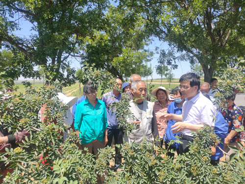 e276ab42da3746bf9e7c79d01e040da8.jpg 林学院刘永红副研究员讲解花椒种植技术_副本.jpg