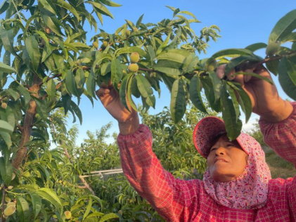 25e86662589b4b36b222ae52c387af83.png 25e86662589b4b36b222ae52c387af83.png