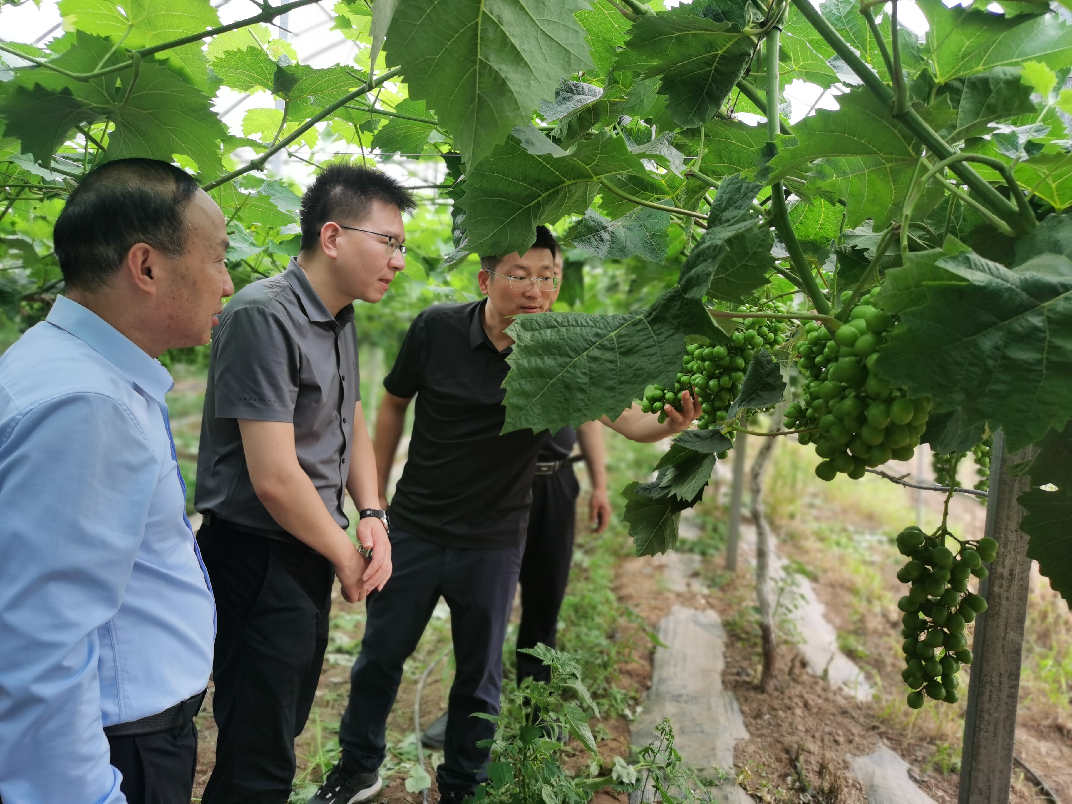 5f2a5b91d72740ac8bf4648aaeeac7c6.jpg 5f2a5b91d72740ac8bf4648aaeeac7c6.jpg